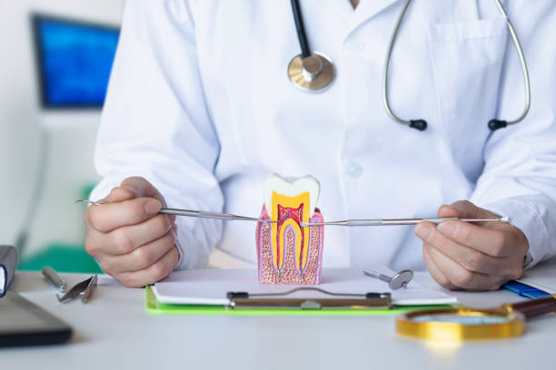 Best Pediatric Emergency Dentist in Delta, OH